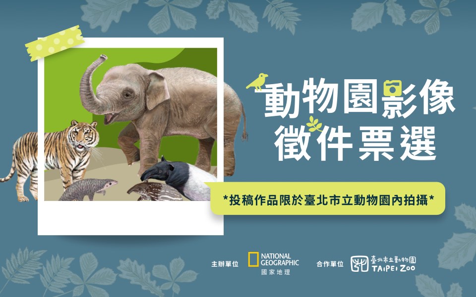 動物園影像徵件票選